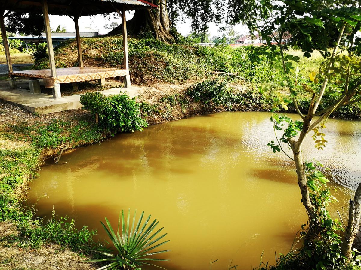 Chalet Desa Halban Kangar Bagian luar foto